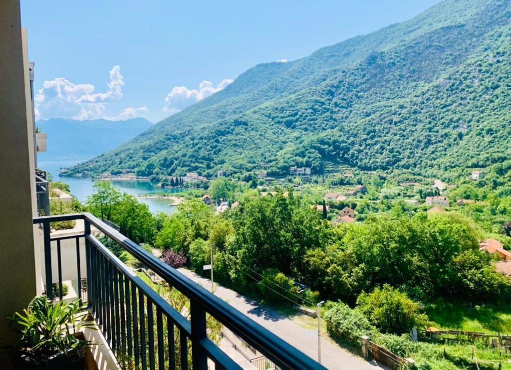 Lavender Bay Apartment F8 Donji Morinj Dış mekan fotoğraf